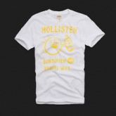 Blusa Hollister 2013