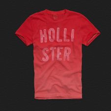 Blusa Hollister 2014